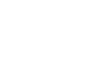 BESOFT logo — official API88 lion arena slot catalog vendor