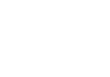 SBO logo — official API88 lion arena slot catalog vendor